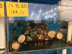 -盈田盈粥庄(博山东路店)