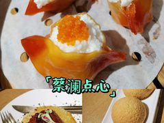 -岭南站NOVA