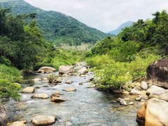 -海南热带雨林国家公园吊罗山景区