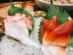 北极贝刺身-耕海蟹将军(万象城店)