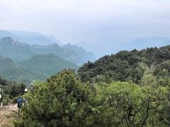 -王莽岭风景区