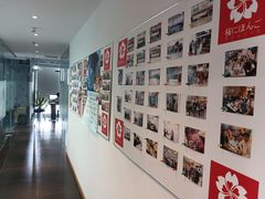 -樱花国际日语(徐家汇中心)