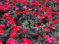 -人民公园(罗湖区)