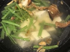 -明潭茶老爸