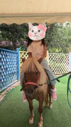 -萌宠亲子动物乐园(槐房万达店)