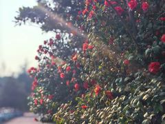 -江南大学(蠡湖校区)