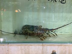-海盗餐厅