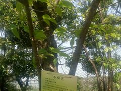 -昆明市官渡区第六中学