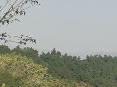 -攀枝花公园