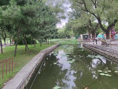-北陵公园