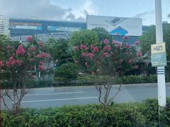 -Apple零售店(深圳益田假日广场店)