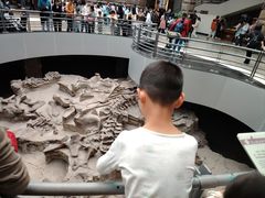 -自贡恐龙博物馆