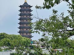 -葛仙湖公园