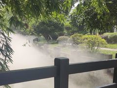 -桂湖森林公园