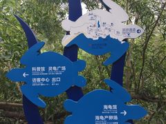 -广东惠东海龟国家级自然保护区