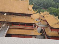 -东莞市大岭山森林公园