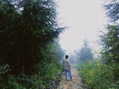 -塔云山
