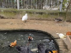 -水绘园