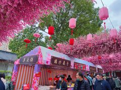 -南汇桃花村