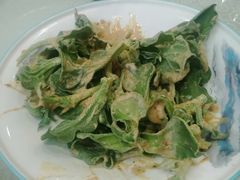 南极冰草-上庄晋风庄园(上庄店)