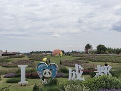 -空港花田景区
