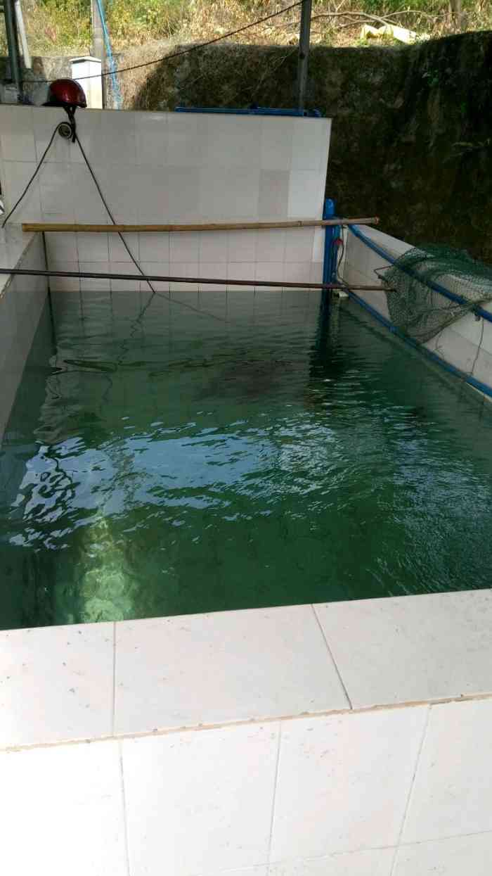 聚福农庄-"看到一鱼四吃才来的,因为要走了,随便找一.