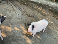 -杭州野生动物世界