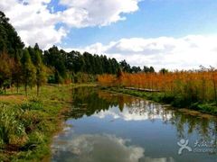 -呈贡滇池生态湿地公园