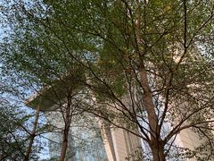 -南丰汇(新港东路店)