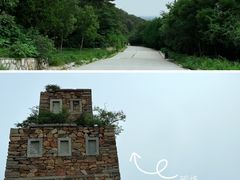 -北京西山国家森林公园