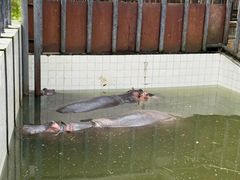 -哈尔滨北方森林动物园