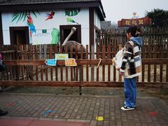 -太阳岛度假酒店