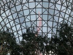 -法拉利主题公园