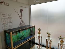 -东莞西妃整形美容医院