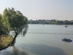 -上海长兴岛郊野公园