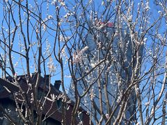 -阿拉木汗餐厅(山大路店)
