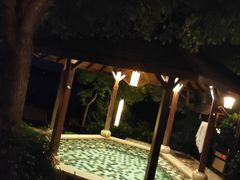 -天目湖涵田半山温泉
