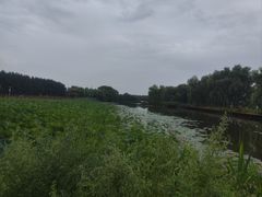 -白渔泡湿地公园