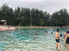 -柳浪游泳场