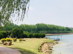 -丁香湖公园