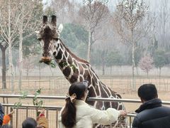 -合肥野生动物园