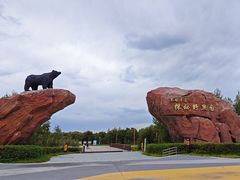 -黑瞎子岛探秘野熊园