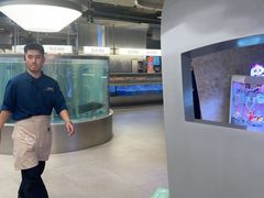 -海底捞大排档火锅(打浦路店)