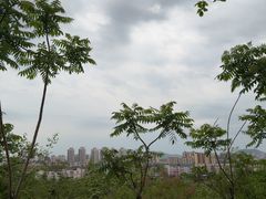 -府君山公园