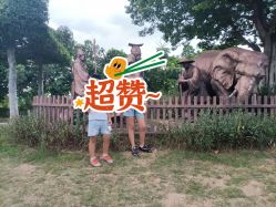 -番禺儿童公园