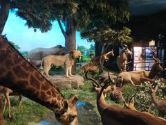 -国家自然博物馆