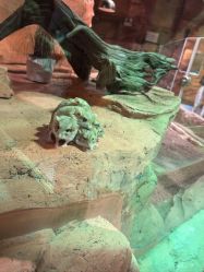 -Zoolung Zoolung动物主题公园(海信广场店)