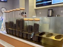 -雾与山茶(大禹城店)