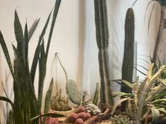 -J Create城市露营咖啡·简餐·宠物(上海动物园店)