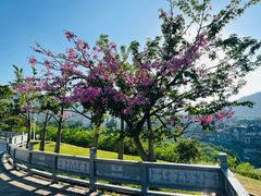 -白石龙音乐公园